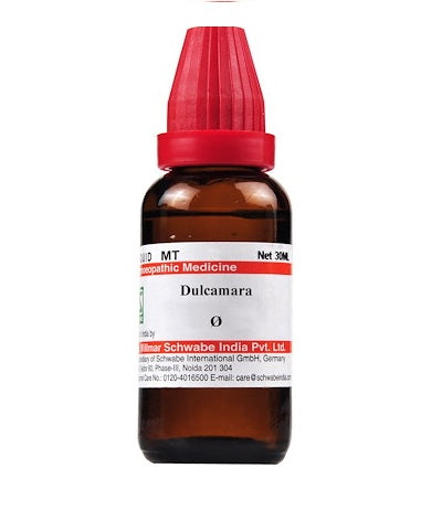 Dulcamara Homeopathy Mother Tincture
