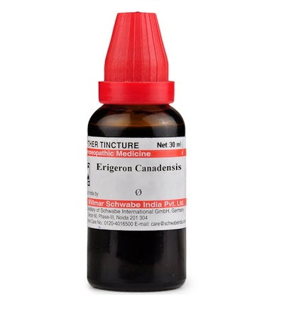 Erigeron Canadensis Homeopathy Mother Tincture