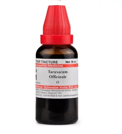 Taraxacum Officinale Homeopathy Mother Tincture