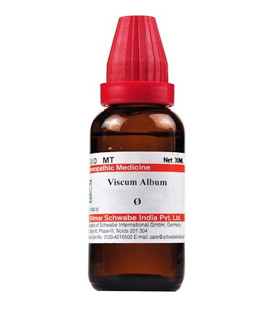 Viscum Album Homeopathy Mother Tincture