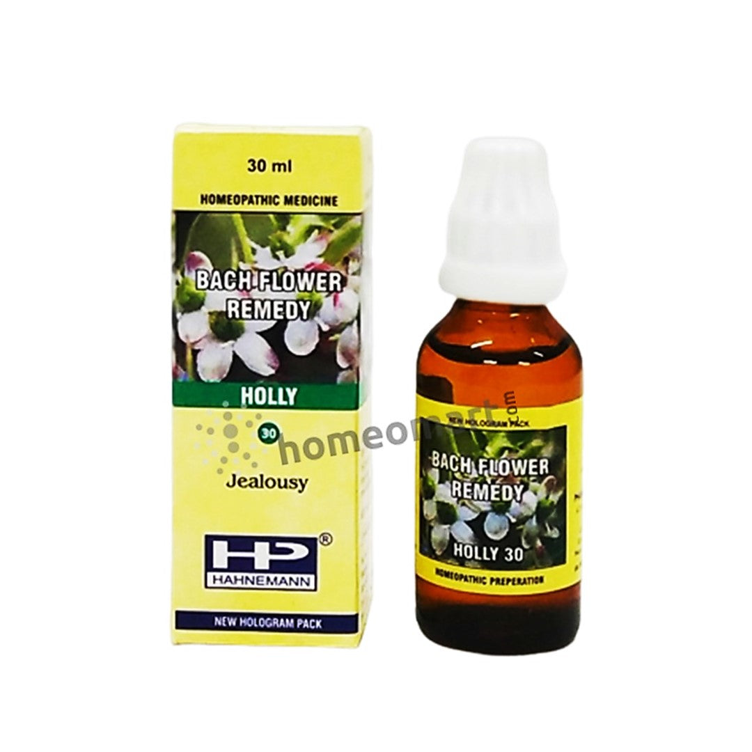 Bach Flower Holly for hatred, envy, jealousy, suspicion