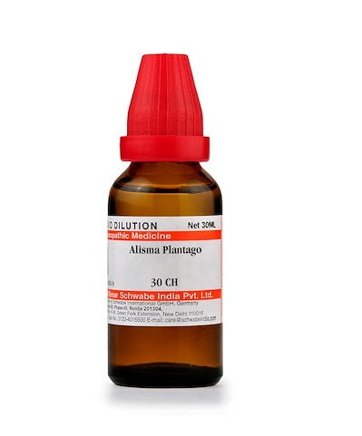 Alisma Plantago Homoepathy Dilution 6C, 30C, 200C, 1M