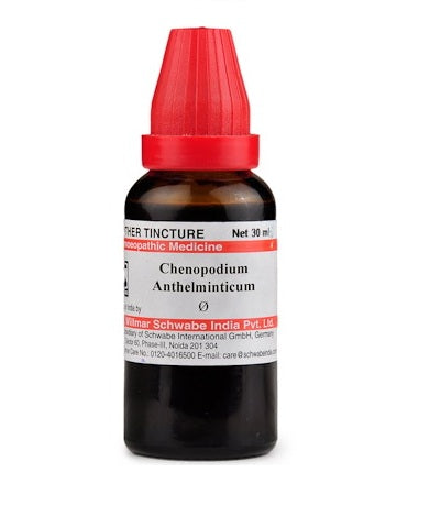 Chenopodium Anthelminticum Homeopathy Mother Tincture