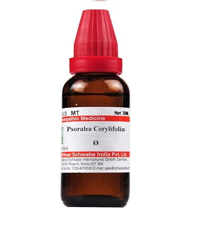 Psoralea Corylifolia Homeopathy Mother Tincture