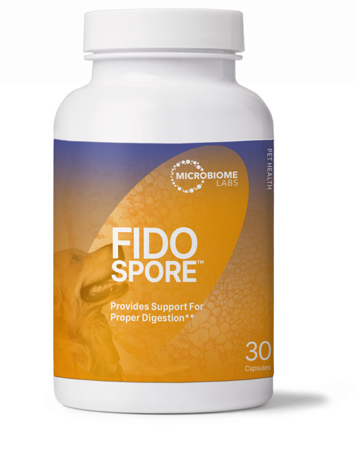 FidoSpore